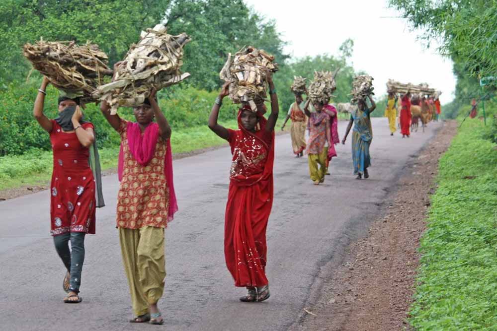 Visite des lieux les plus celebres du patrimoine culturel indien 